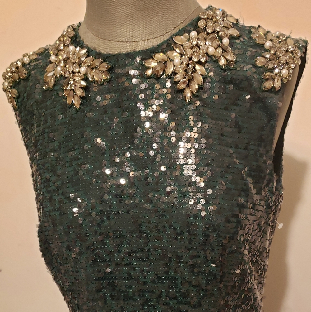 ERDEM  Sequin Embellished Sleeveless Midi Dress - Picture 8 of 8